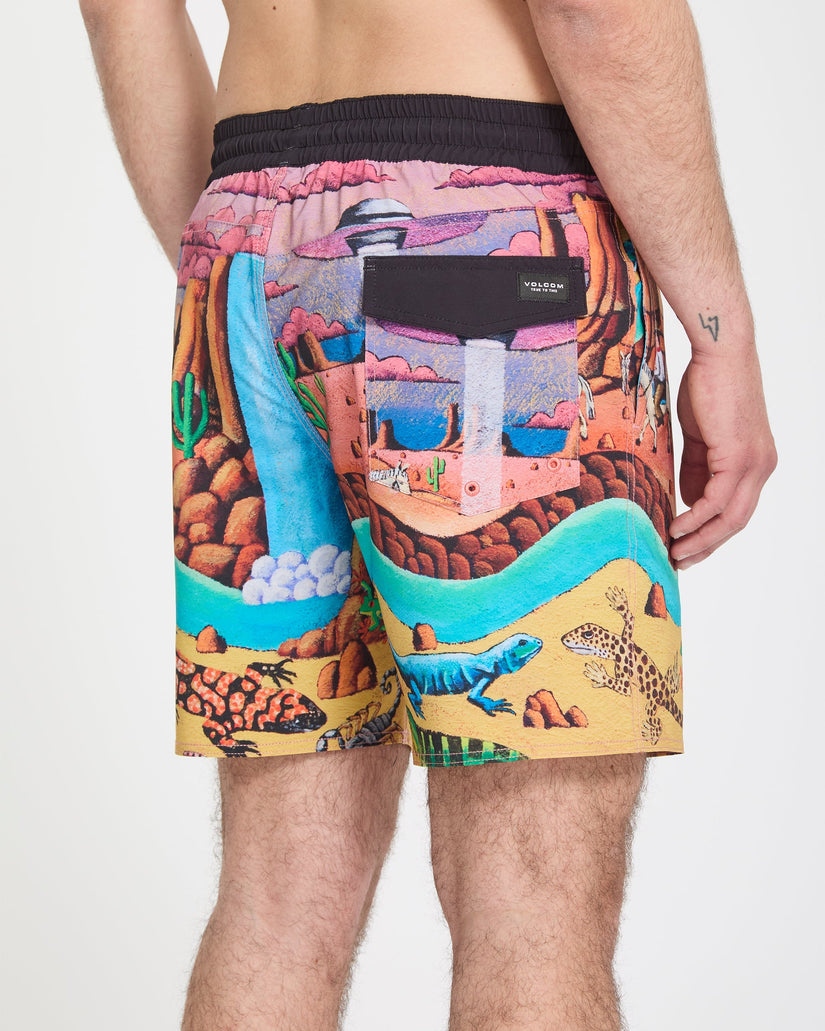 Mickey Mason Trunk 17" Boardshorts - Multi