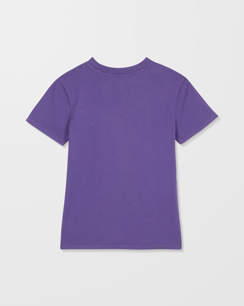 Solid Stone Besticktes T-Shirt - Acai